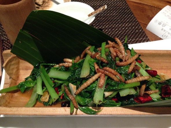 Mealworms as a garnish in a vegetable dish (Credit: Wikimedia Commons)