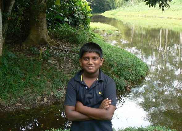 Saving MacRitchie forest: A youngster's view