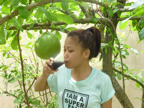 Tinny drinking the juice. Behind her is a Calabash fruit.