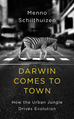 darwin comes to town 5-2